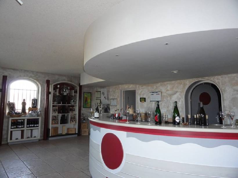 VISITE DES CAVES DU VIGNOBLE GUILLAUME Charcenne (Culture Haute