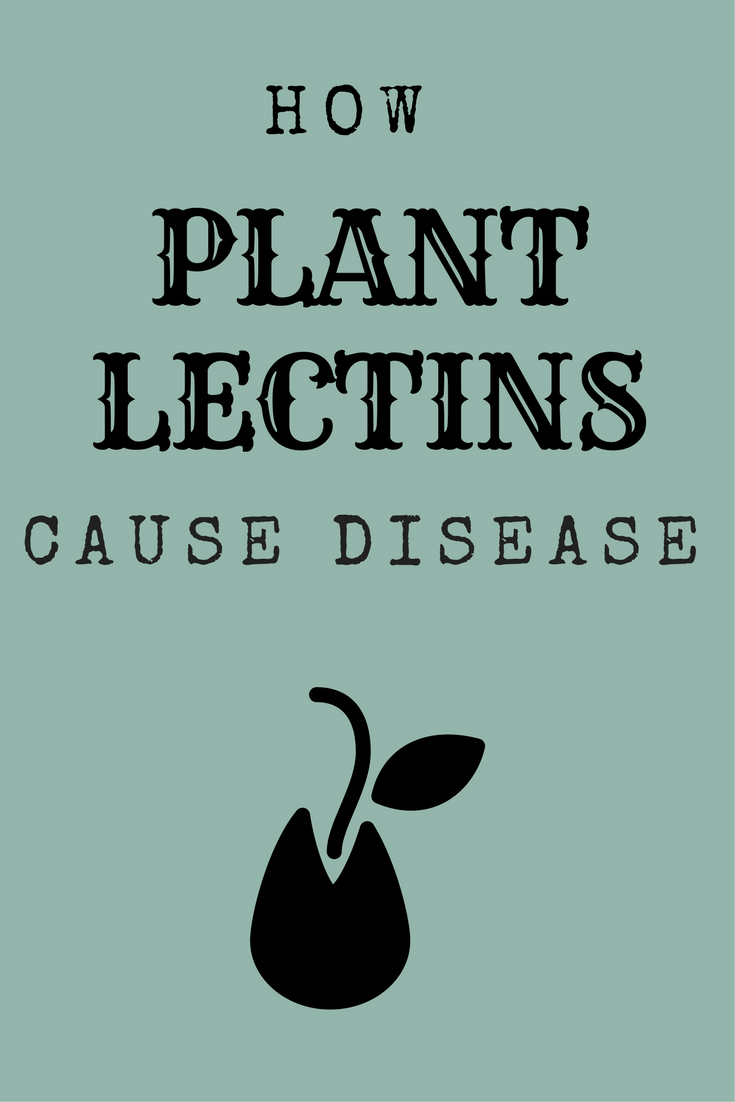 Why You Should Stop Eating Plant Lectins (Or At Least Reduce Them)