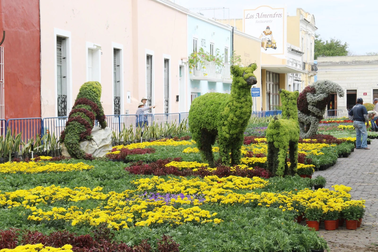 Anuncian tercera edición del Camino de Flores en Parque de La Mejorada