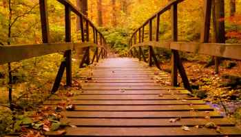 Samedi c’est poésie : Soir d’automne de Jean Richepin – De la lecture pour les enfants et de la lecture pour les parents