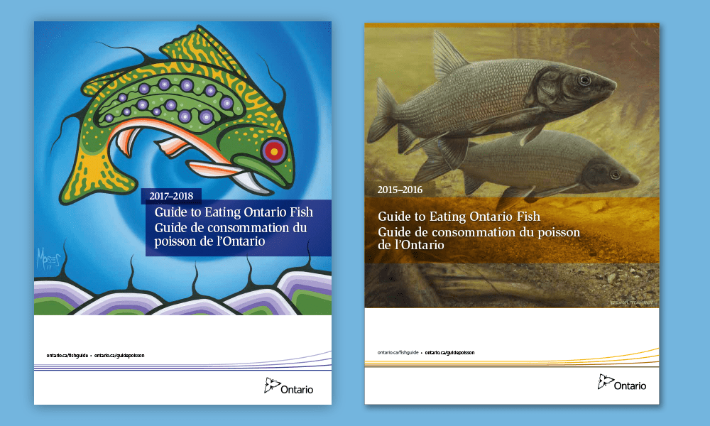 Guide to Eating Ontario Fish automating Excel files with InDesign publishing saved the