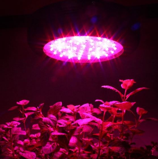 Apollo Horticulture GL60LED 180W LED Grow Light Review