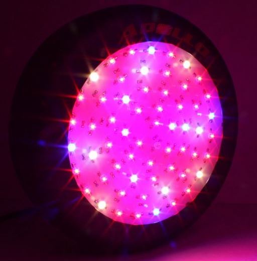 Apollo Horticulture GL60LED 180W LED Grow Light Review