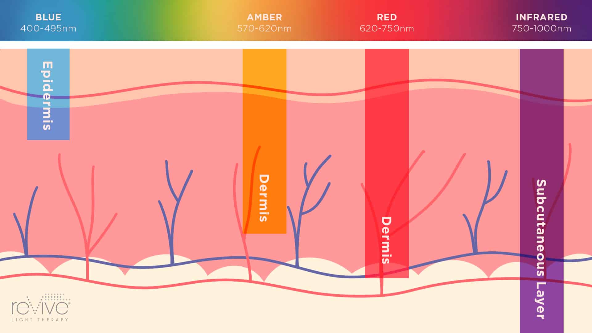 The Science Behind LED Light Therapy and Skin Rejuvenation