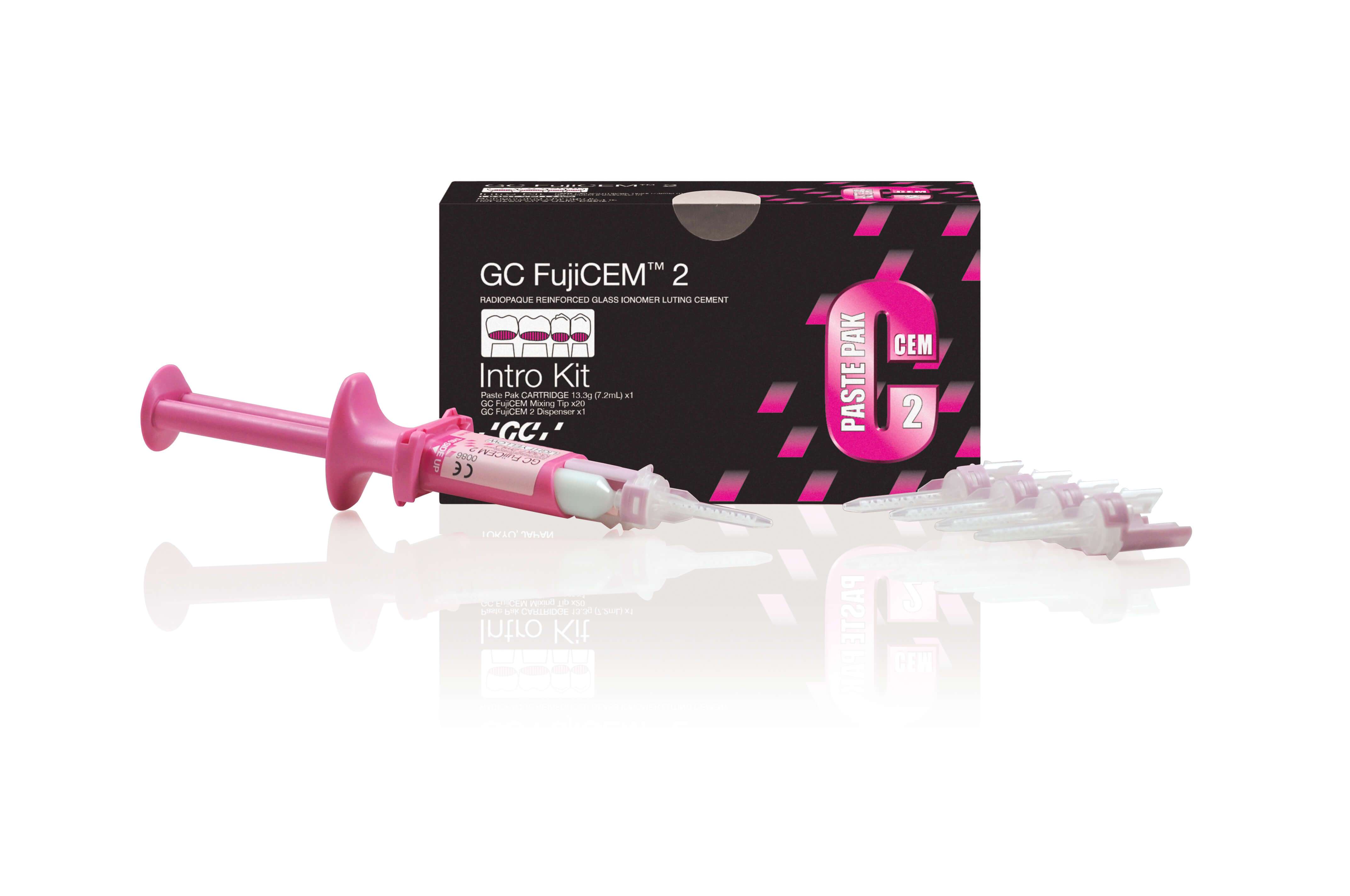 Glass Ionomer Cement Lee Ann Brady DMD