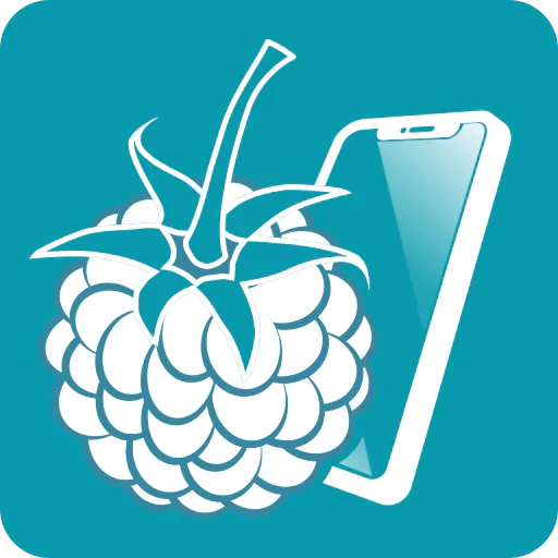 RaspController Mod APK v6.2.0.1 (Pro Unlocked)