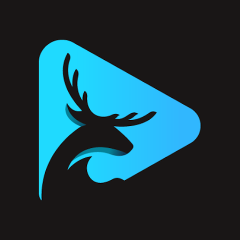 Stag VPN Mod APK v18 (Premium Unlocked)