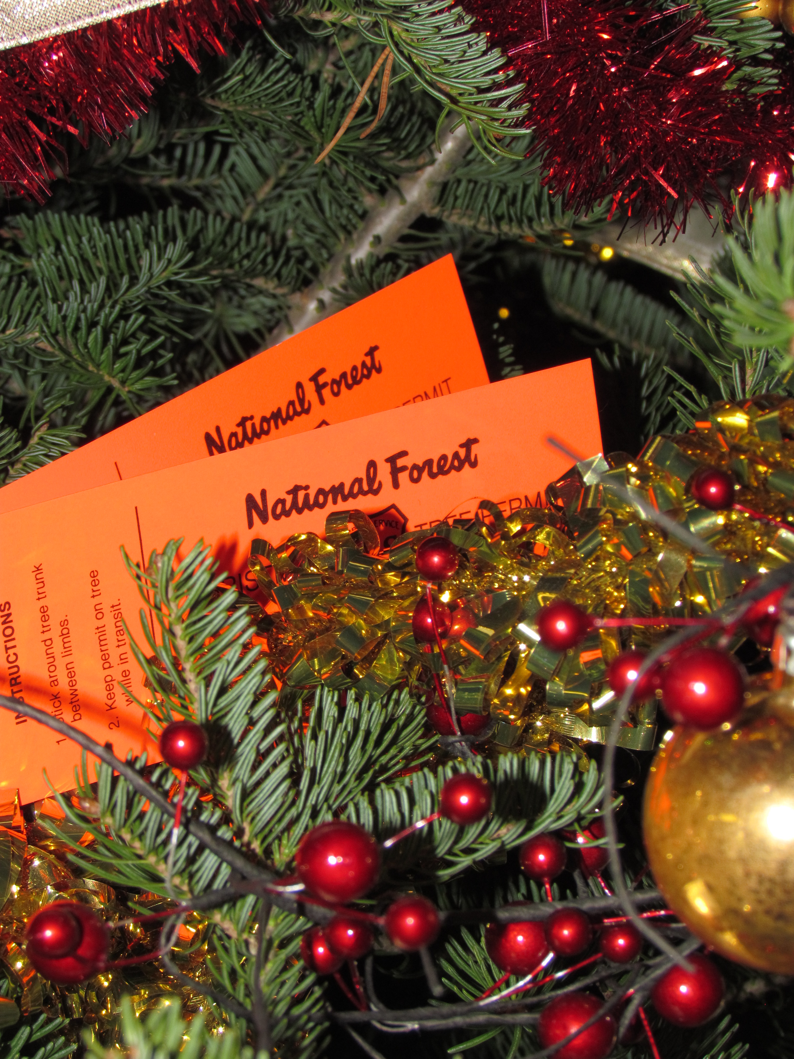 Chippewa National Forest Christmas Tree Program