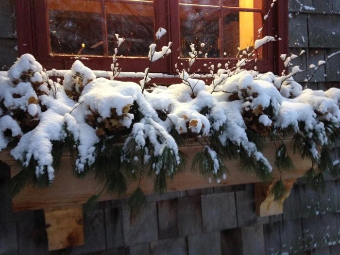 Ice House Rental Leech Lake Mn at Larry McCaslin blog