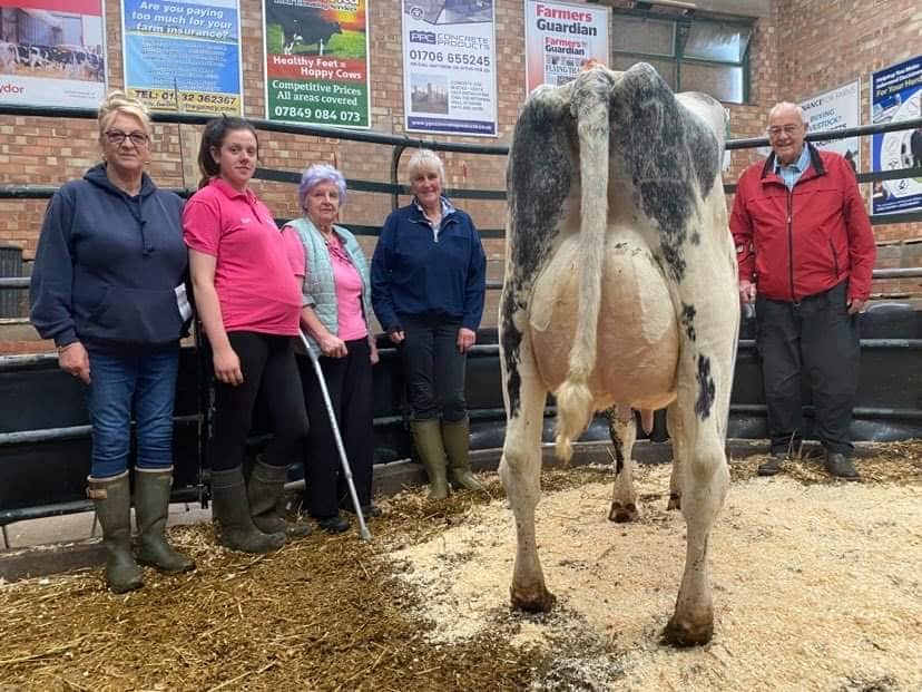 Market Report 24th August Leek Auctions