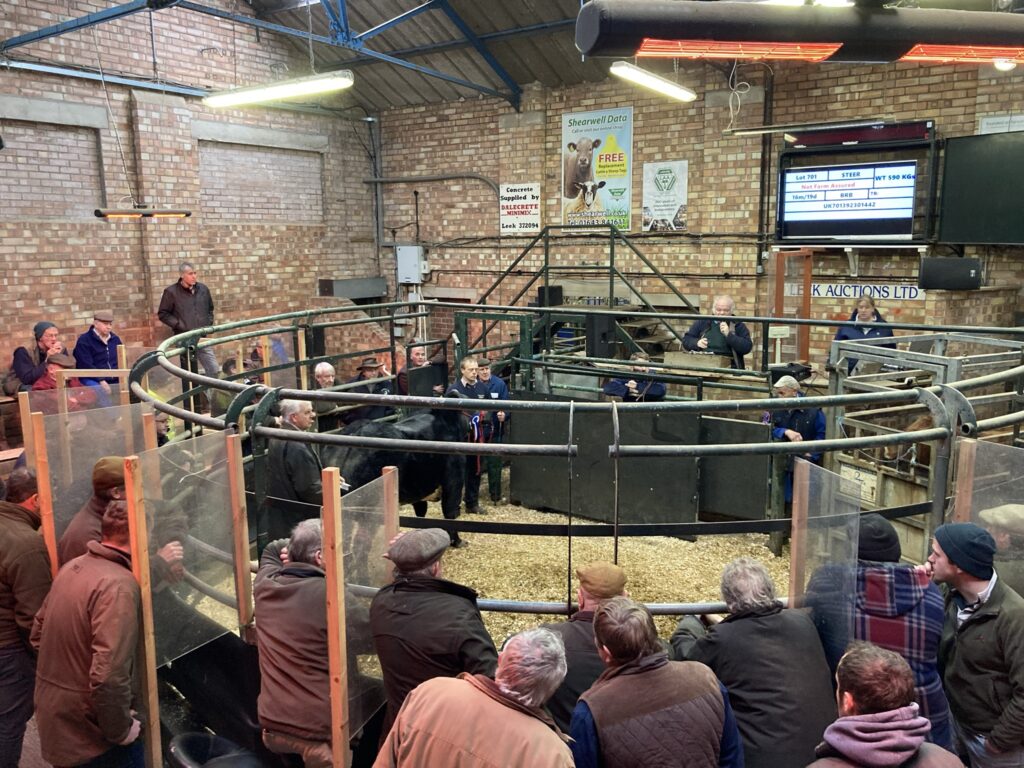 Christmas Primestock Market Report 7th December Leek Auctions