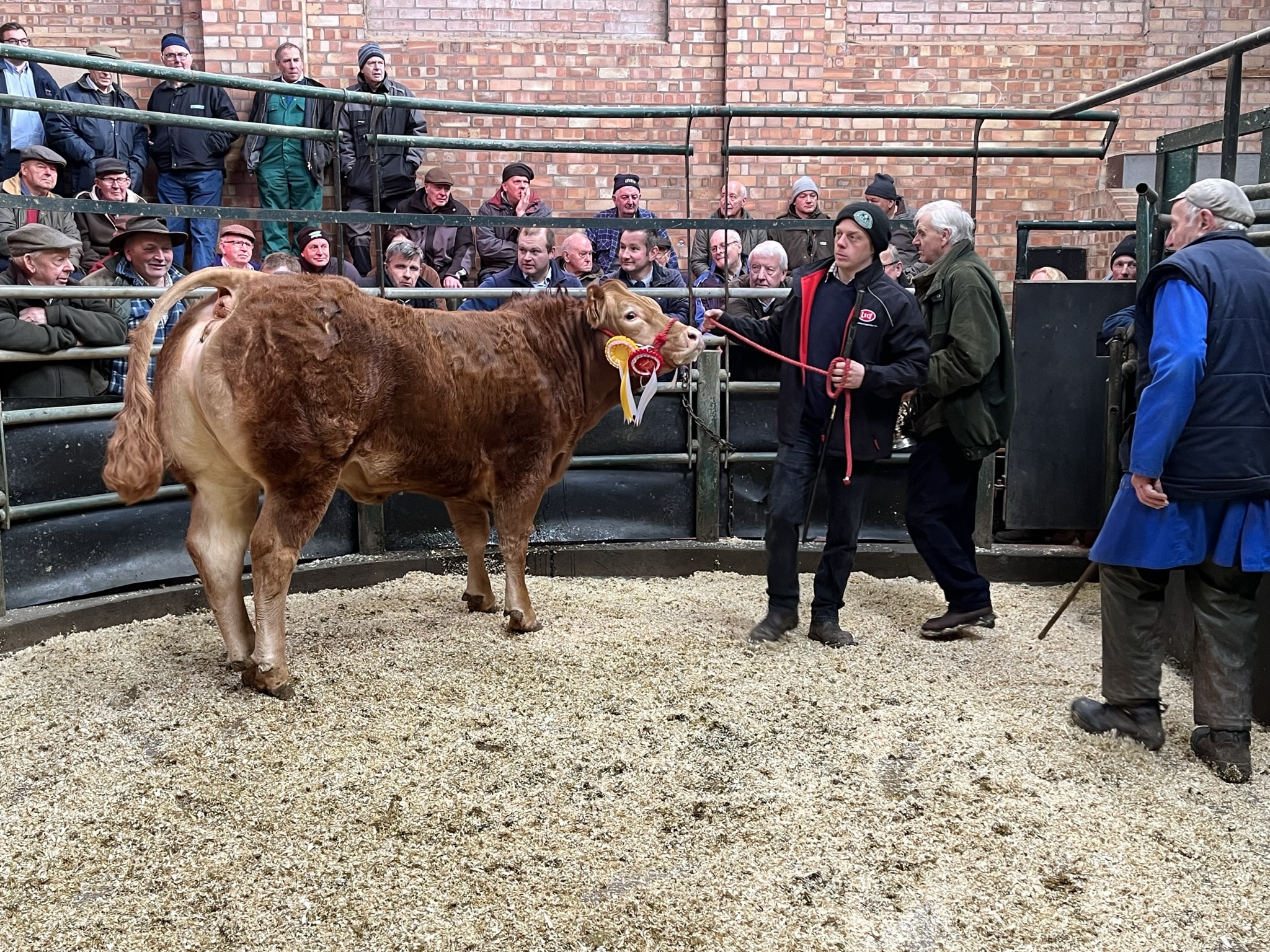 Market Report Tuesday 6th December Leek Auctions