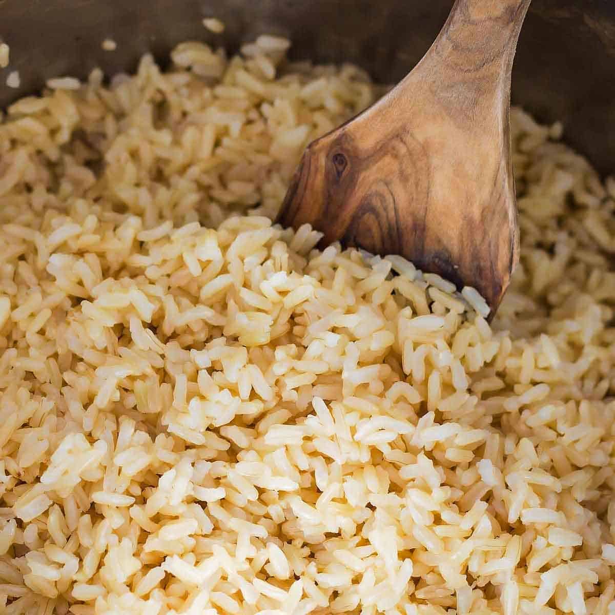 Instant Pot Brown Rice » LeelaLicious