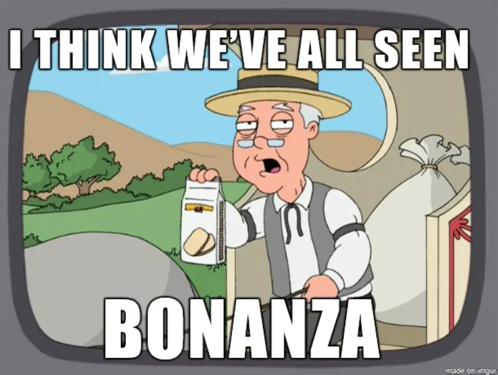 Is Bonanza Legit? Bonanza Review (Watch Before USE!)