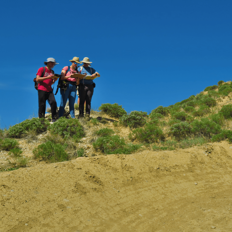 Field Camp Kit Leeman Geophysical
