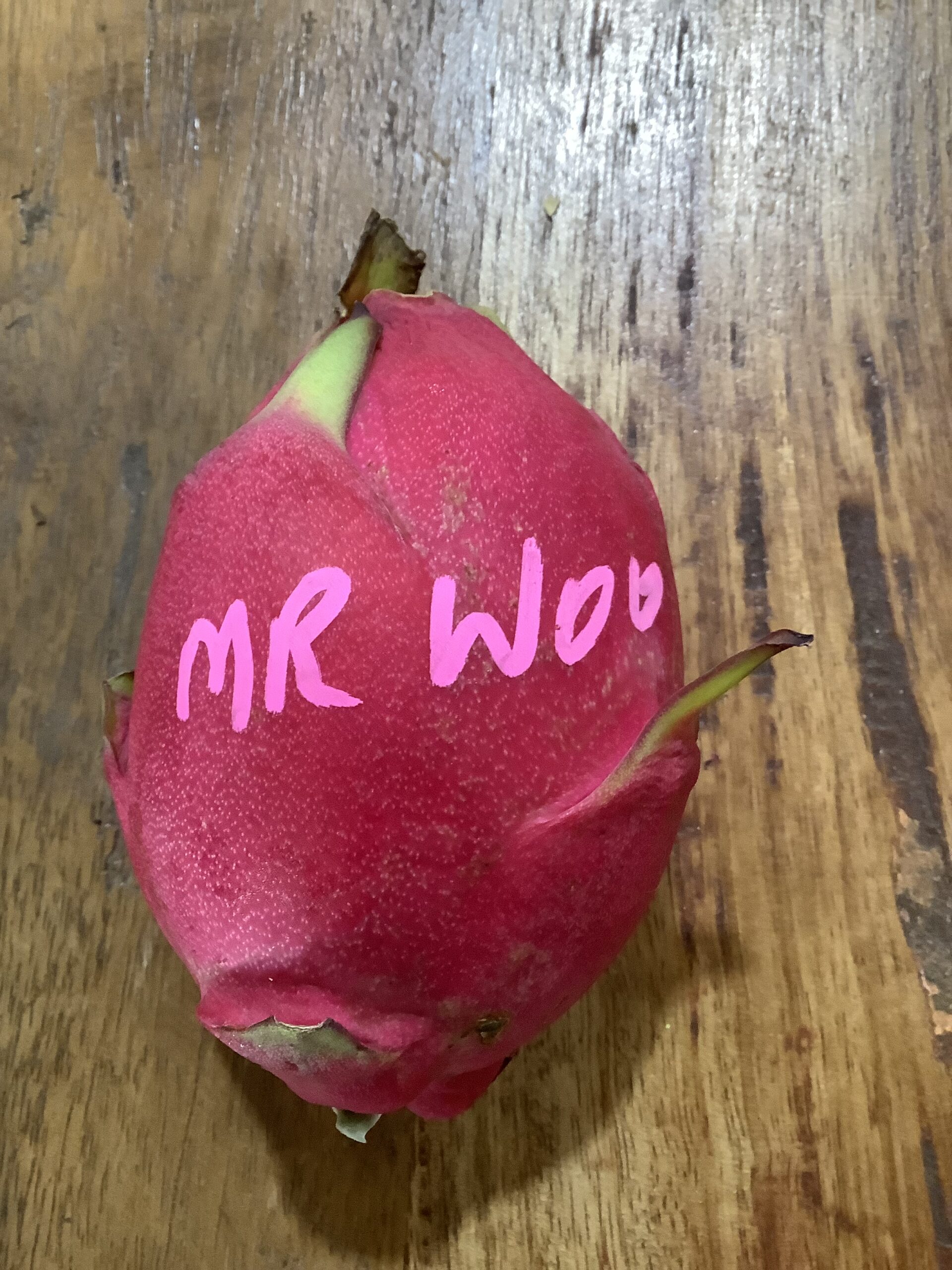 Mister Woo Cutting Lee's Dragonfruit Plantation