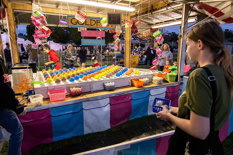 Leesport Area Community Days Leesport Area Historical Society