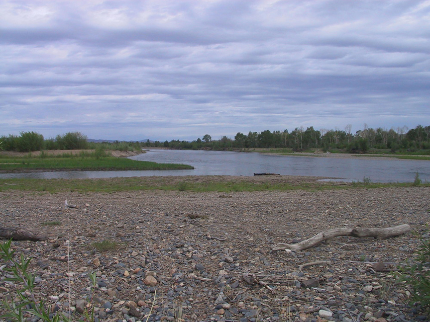 Onon River, Binder, Mongolia World Rivers Project