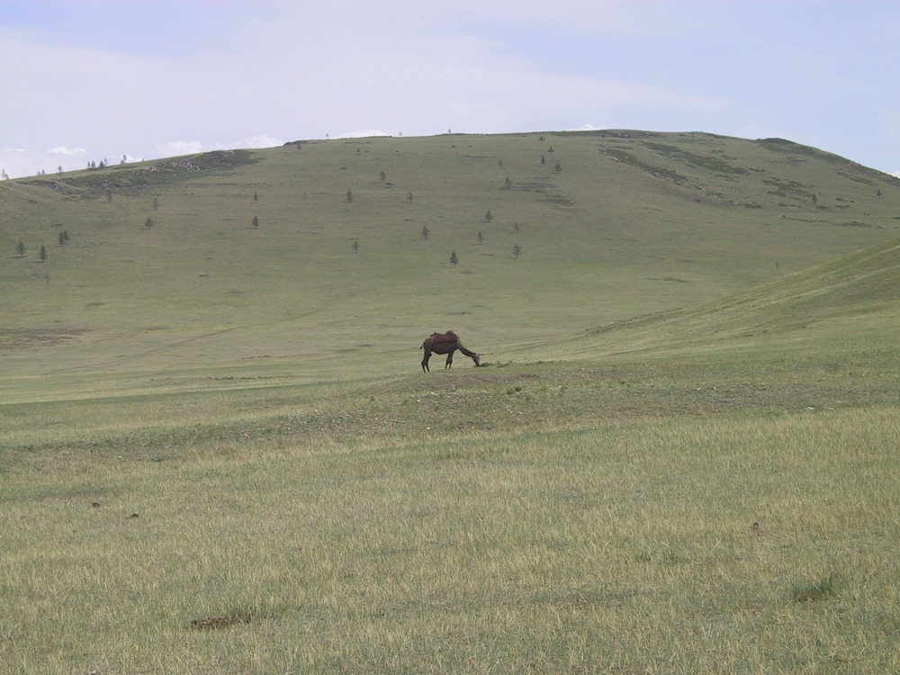 Onon River, Binder, Mongolia World Rivers Project
