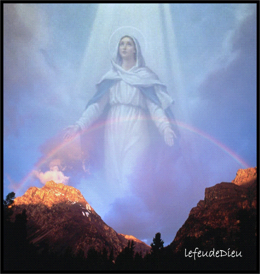 ..............................