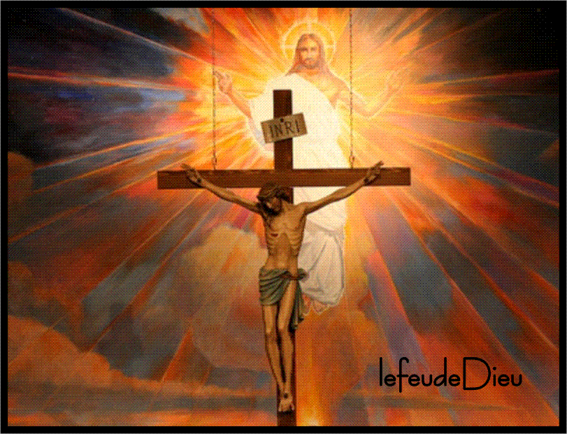 ......................................