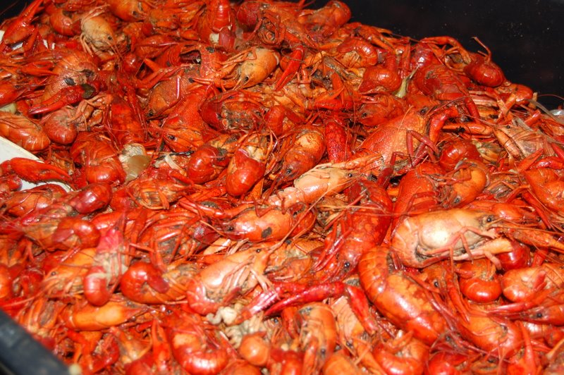 Louisiana Crawfish Festival, Chalmette LA, March 26th through 29th 2015