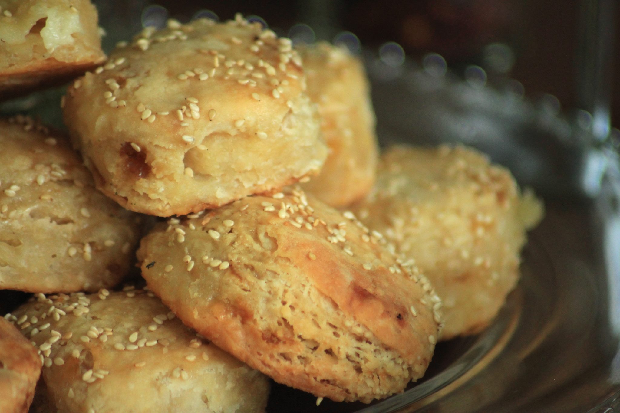 International Biscuit Festival, Knoxville TN, May 14th through 16th