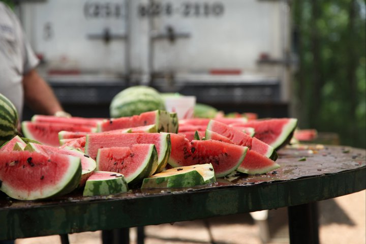 Grand Bay Watermelon Festival 2023 Grand Bay Watermelon Festival, Grand Bay Al, July 3Rd And 4Th 2015 – Left At The Fork