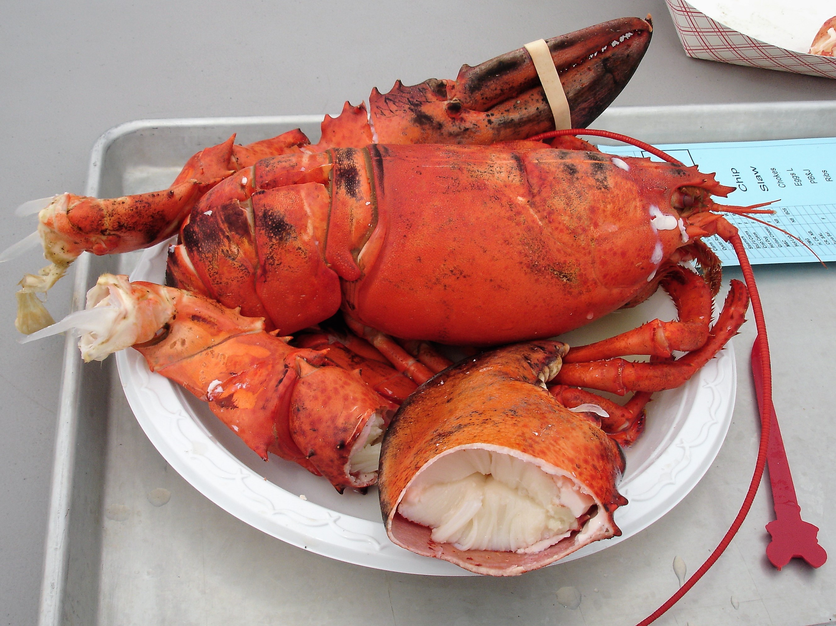 Abbott’s Lobster in the Rough, Noank CT Left at the Fork