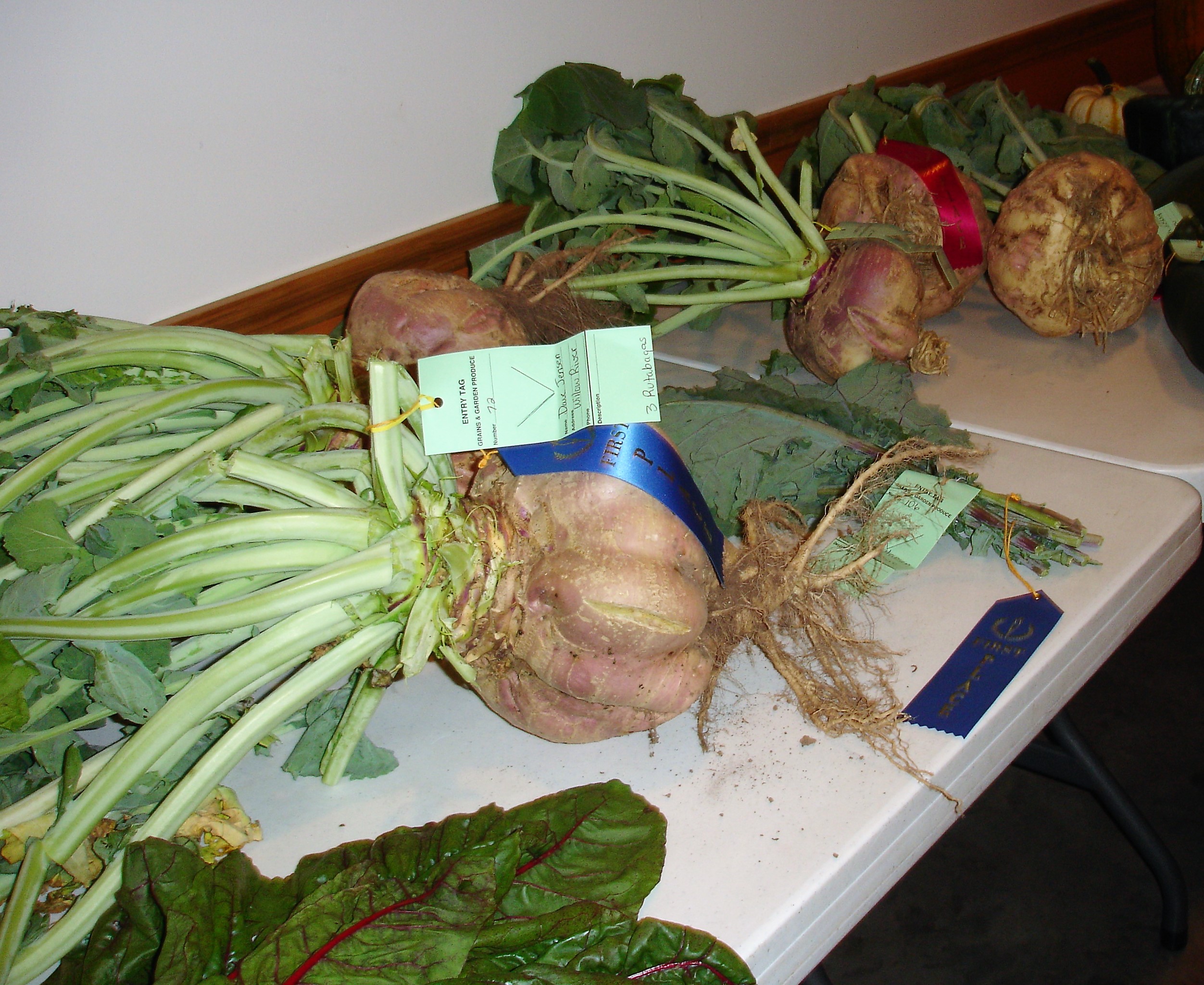 Askov Rutabaga Festival & Fair, Askov MN, August 25th through 27th 2017 Left at the Fork