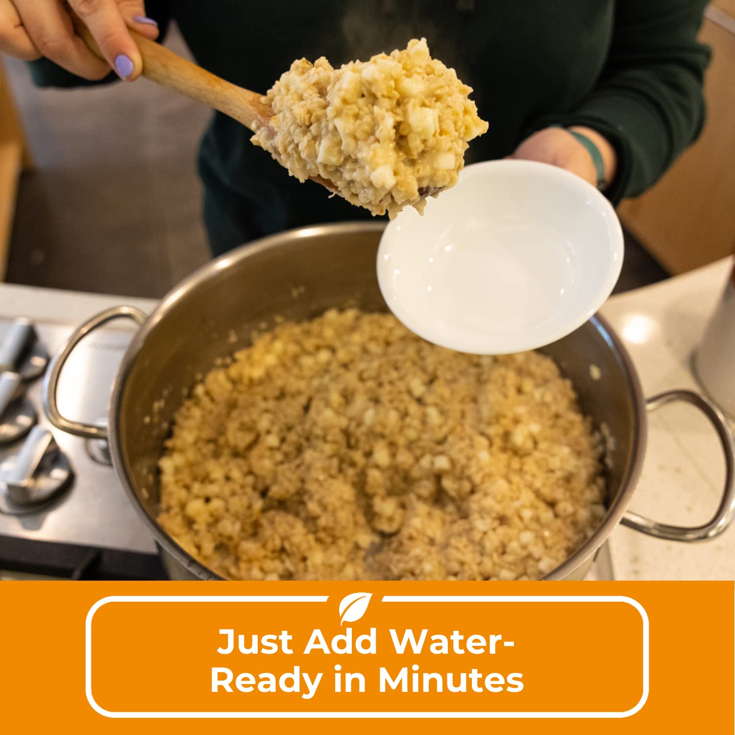 Nutristore FreezeDried Apple Cinnamon Oatmeal Emergency Survival