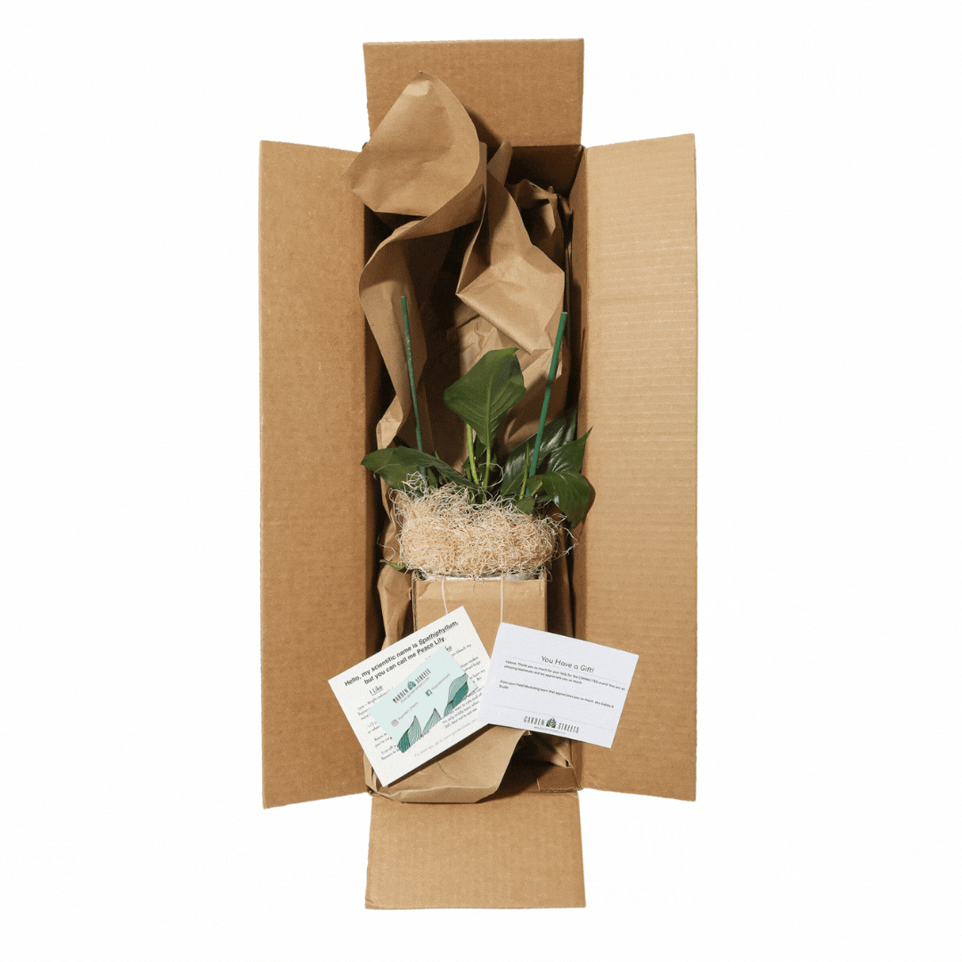 Mother Earth approved 7 sustainable Earth Day gifts