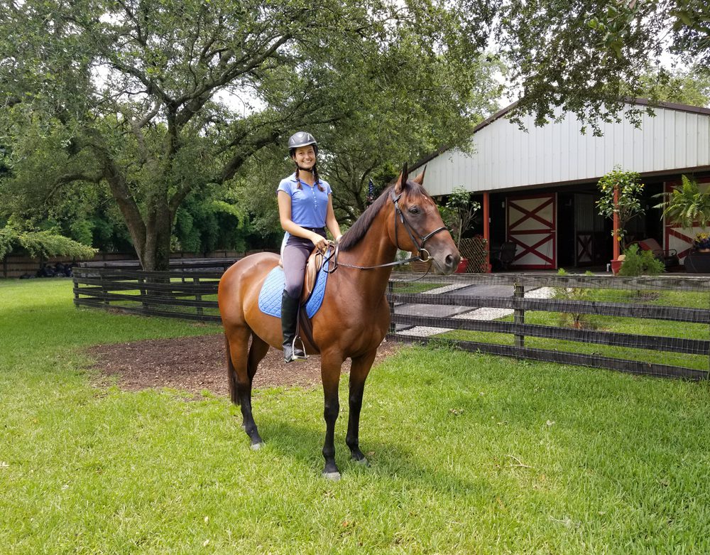 Home Competition Horses Legacy Farms of Jupiter