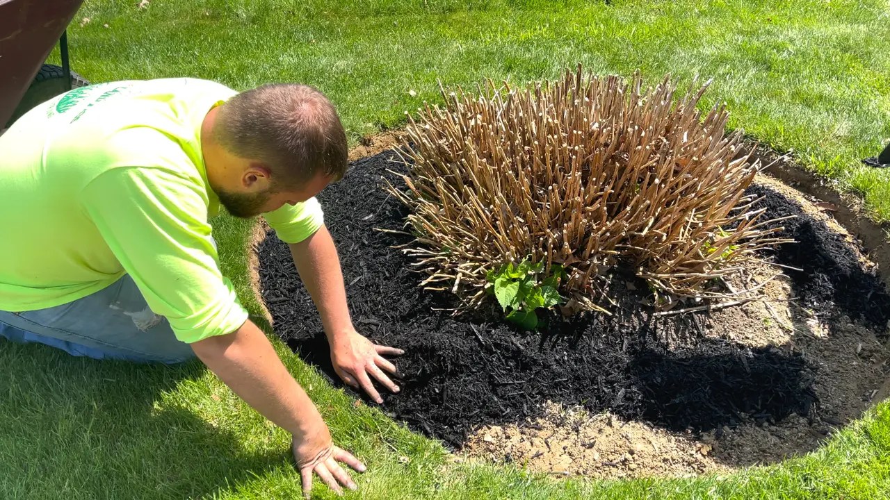 Edging and Mulching Made Easy Professional Tips for Stunning Garden Beds Legacy Land Pros