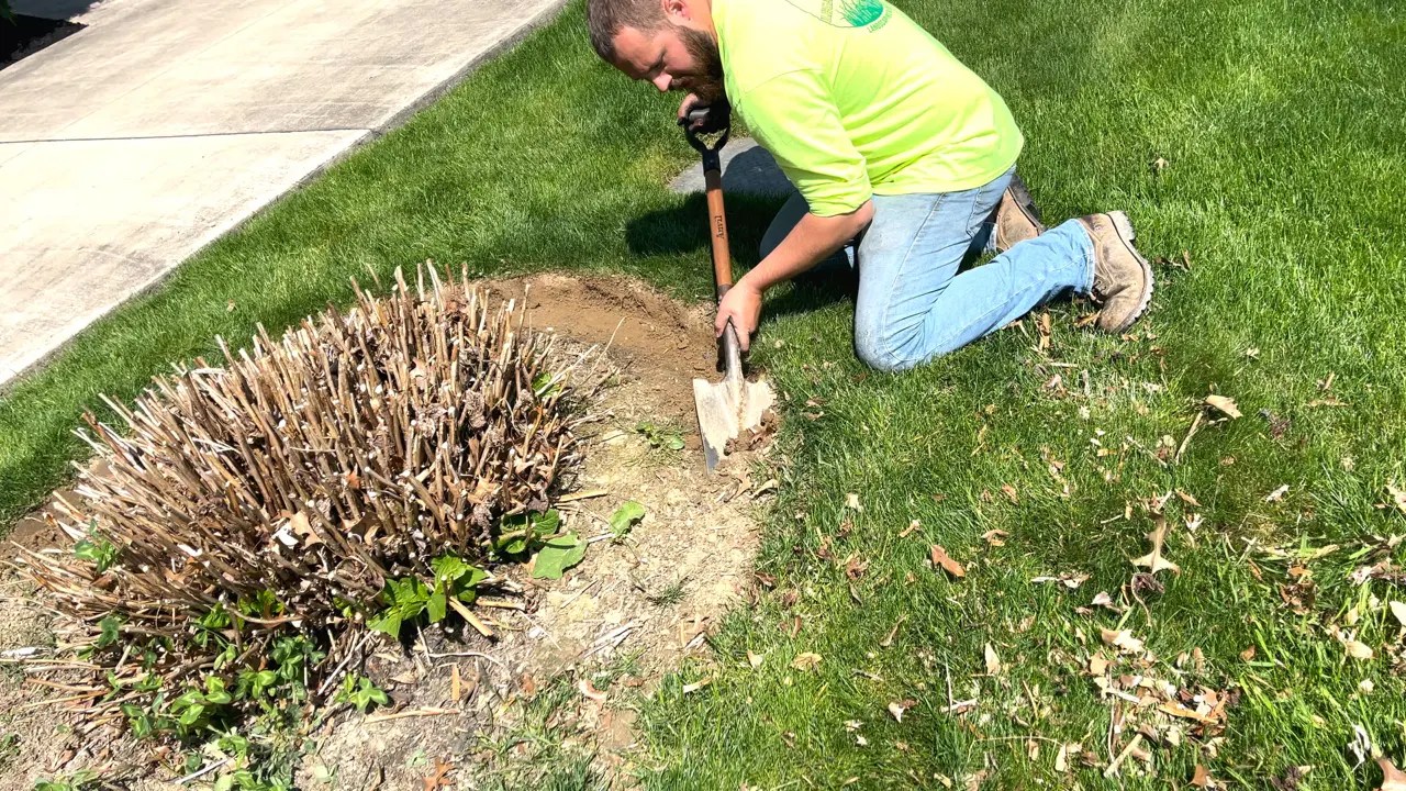 Edging and Mulching Made Easy Professional Tips for Stunning Garden