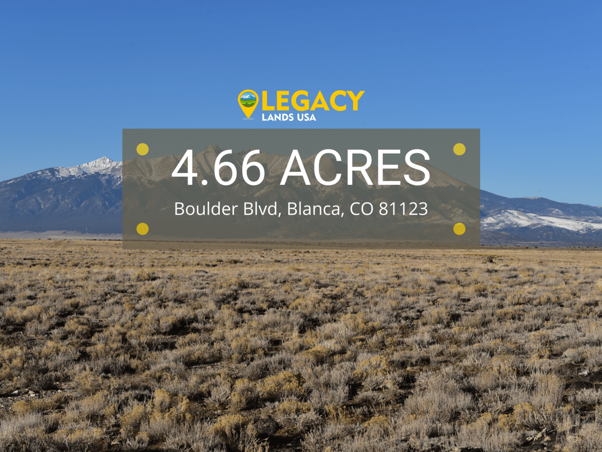 This 5Acre lot is a perfect place for an offgrid escape in Costilla