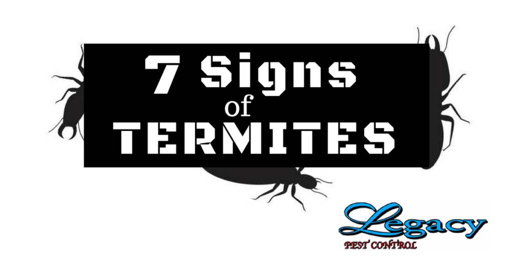 7 Signs of Termites Legacy Pest Control Utah