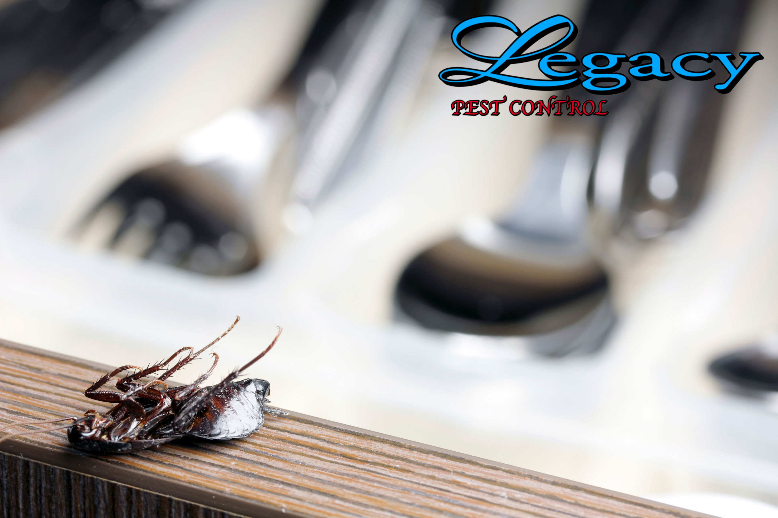 4 Reasons to Choose Legacy for Restaurant Pest Control Legacy Pest