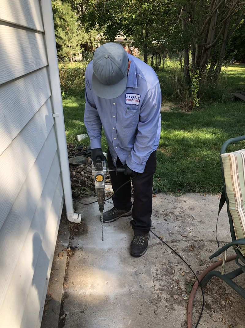 Best Rated Pest Control in Ogden Utah Preventative Pest Control