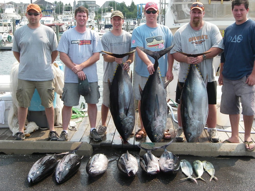 Cape May Fishing Pictures Legal Limit Charters