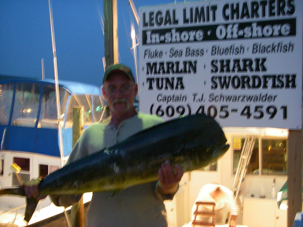 Cape May Fishing Pictures Legal Limit Charters