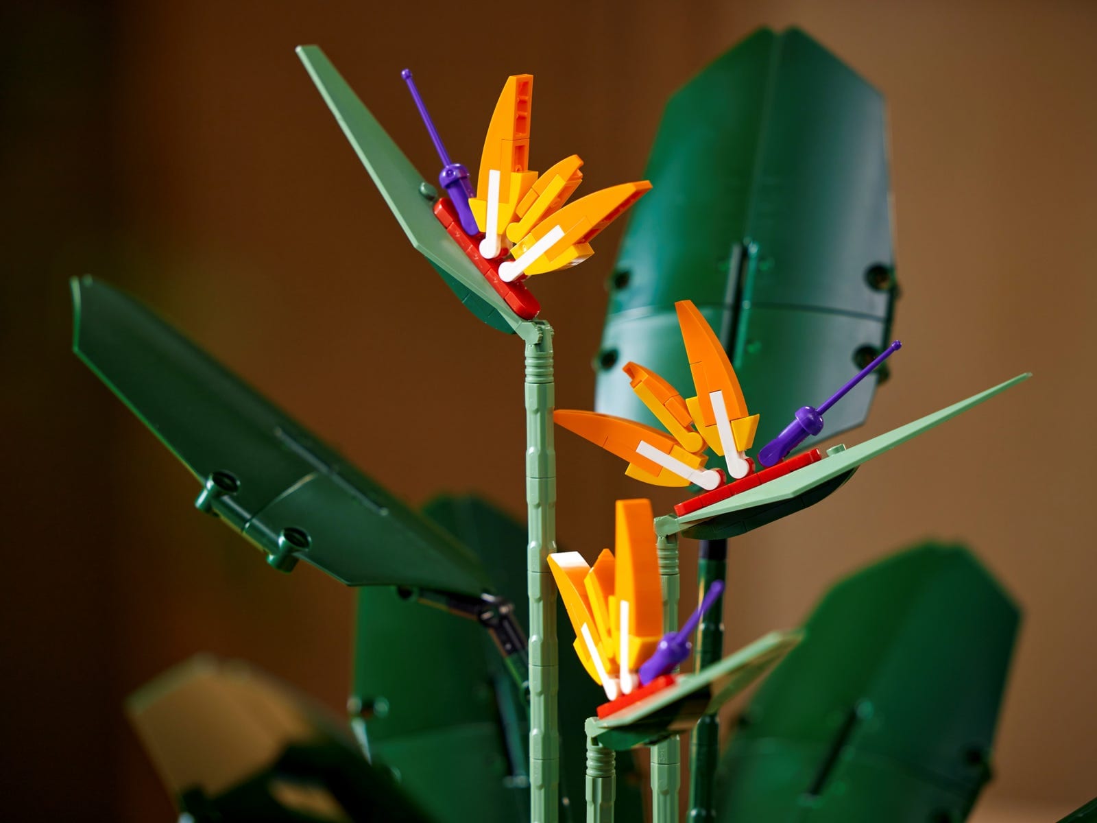 LEGO Bird of Paradise, in arrivo il nuovo set della linea LEGO