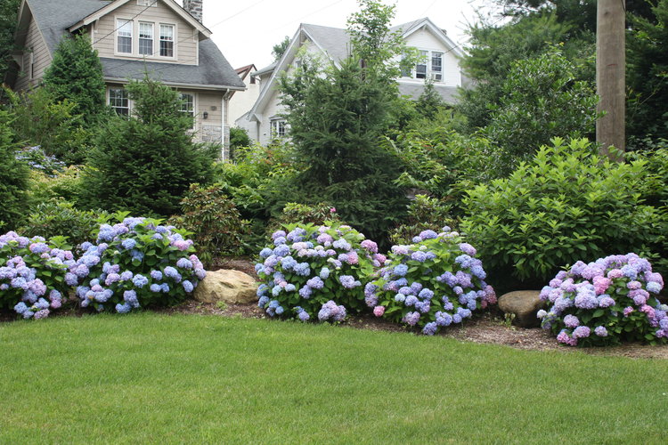 PRIVACY BORDERS Legarden Designs
