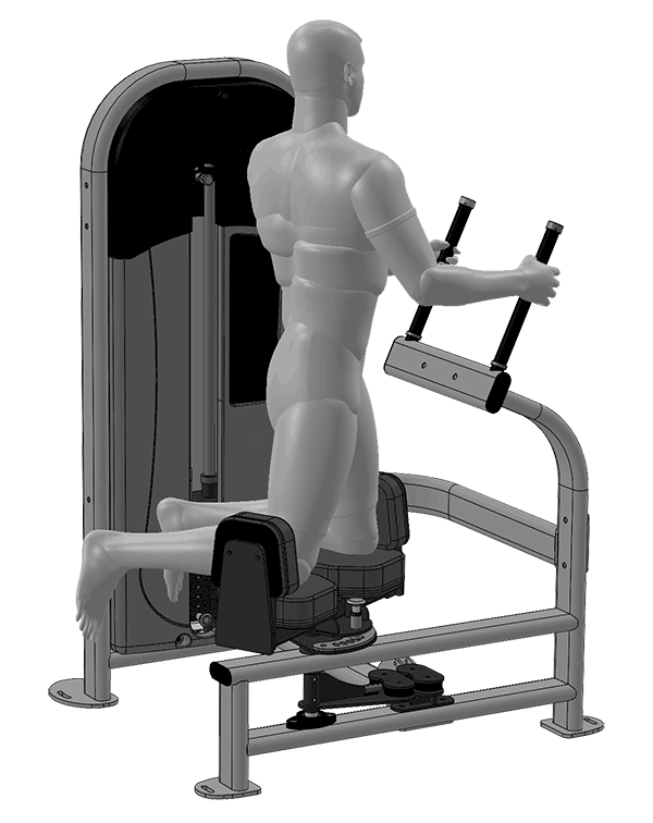 SelectEDGE Torso Rotation Legend Fitness Legend Fitness