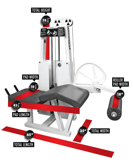 Leg Curl Legend Fitness