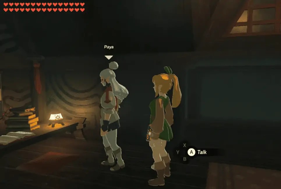 Paya BOTW Guide Legends of Z