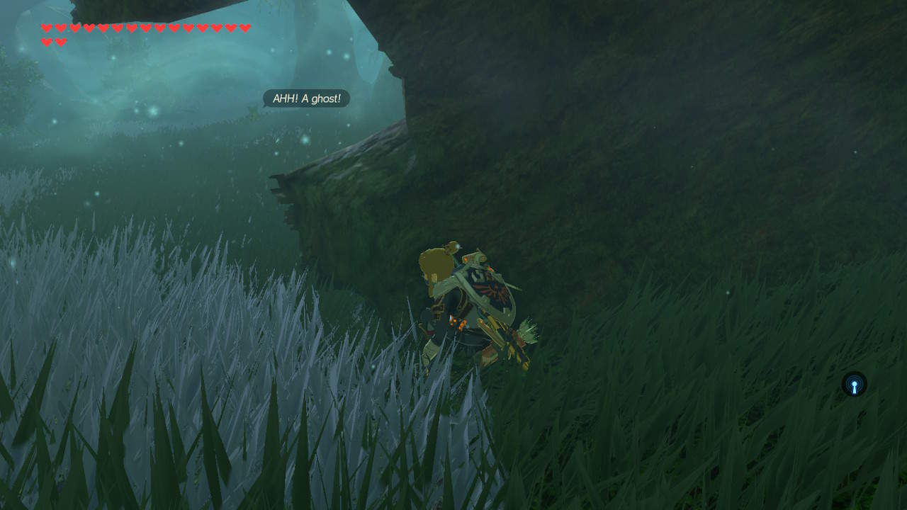 Lost Woods BOTW Guide Great Hyrule Forest Guide Legends of Z