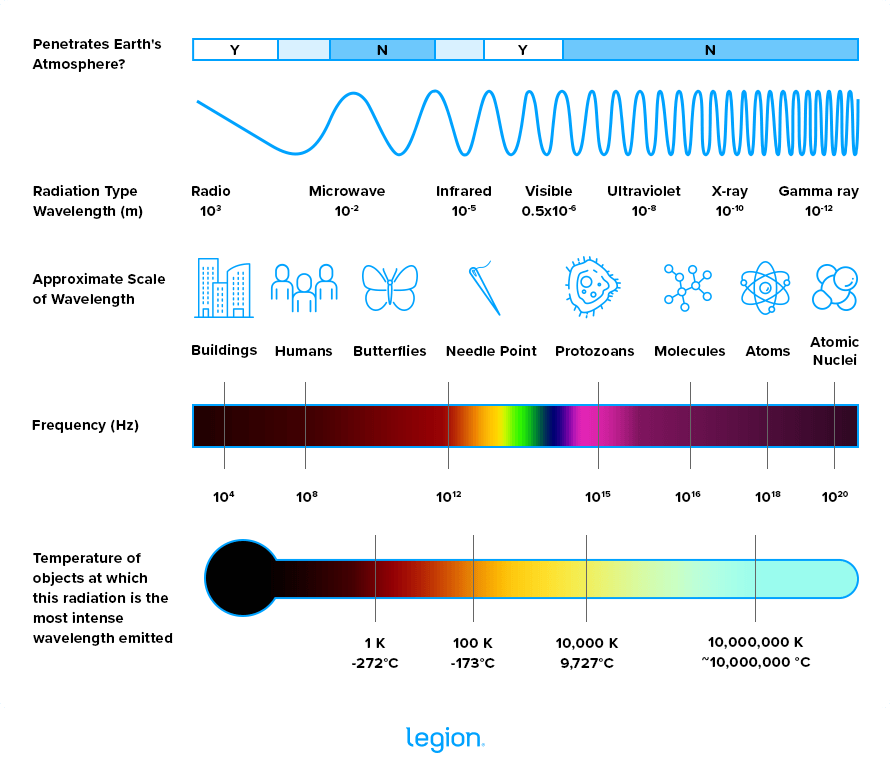 Is Microwaving Food Bad For You & Does it Impact Nutrients? Legion