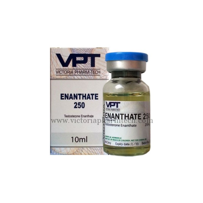 Pharmacology of testosterone replacement therapy preparations