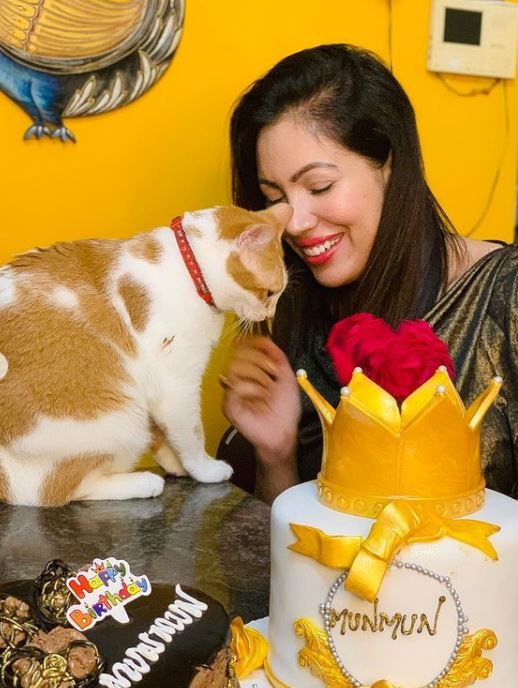 Details 147+ cat birthday cake petsmart in.eteachers